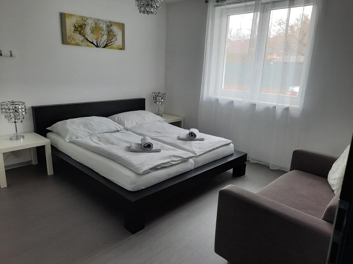 Apartman Ela Villa Skalná Екстериор снимка