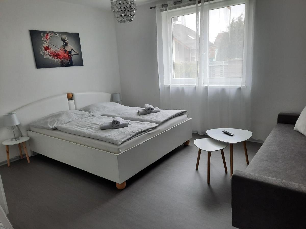 Apartman Ela Villa Skalná Екстериор снимка